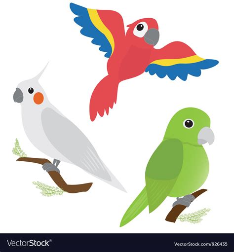 Set Cartoon Parrots Royalty Free Vector Image Vectorstock