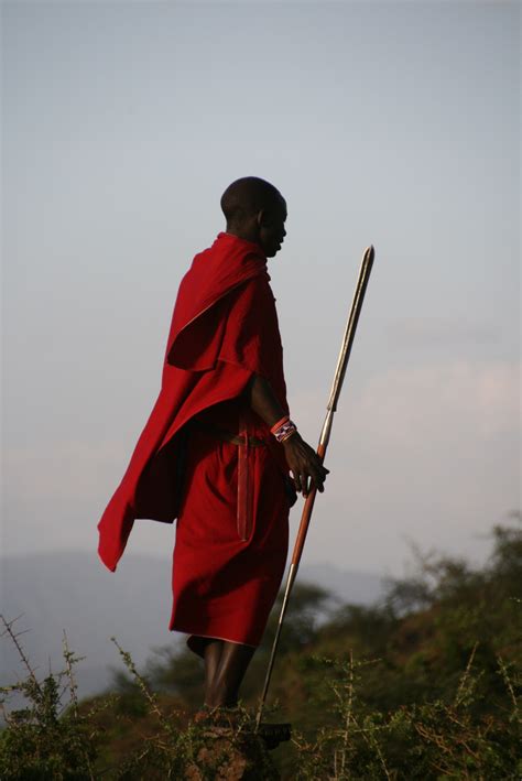 무료 이미지 사람 빨간 아프리카 탄자니아 마사이 마아 사이 1880x2816 1043471 무료 이미지