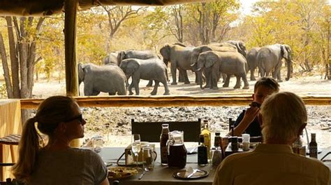 Chobe Forest Camp Campground Reviews Kasane Botswana