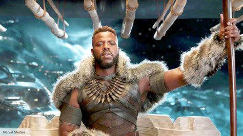 Black Panther Cast Characters And Actors The Digital Fix
