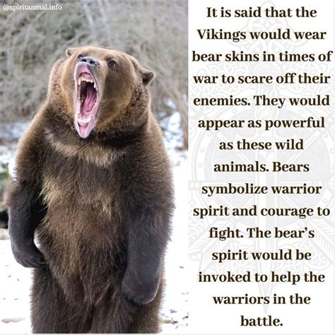 Bear Spirit Animal With Images Bear Spirit Animal Spirit Animal