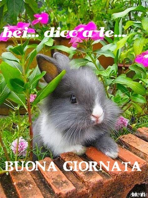 Õnnelik uus aasta, rõõmsad jõulud, puoi anche dire buongiorno anche in giorno speciale. Buongiorno divertente: immagini, frasi, gif e video. 151 ...