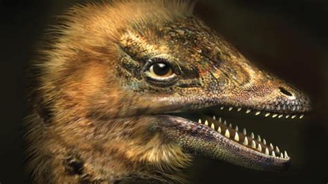 Scientists Successfully Recreate Tyrannosaurus Rex Embryo From Chicken