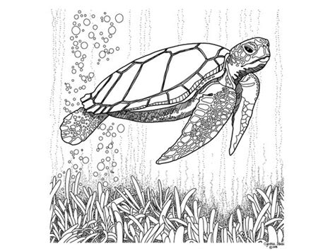Printable Sea Turtle Coloring Page - free adult coloring pages