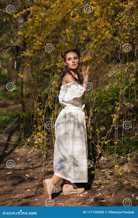 Attractive Brunette Model Posing Near The Flowering Tree In Whit Stock Image Image Of Floral