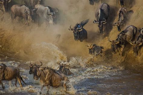 Maasai Mara National Reserve In Kenya Luxury Travel Ker Downey Africa