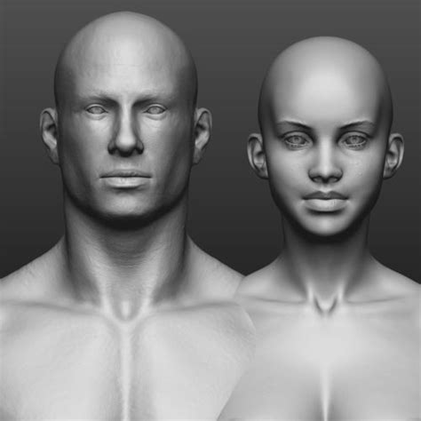 Hi Res Male And Female Body 3d Model Cgtrader