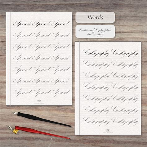 Copperplate Calligraphy Alphabet Practice Calligraphy Worksheet