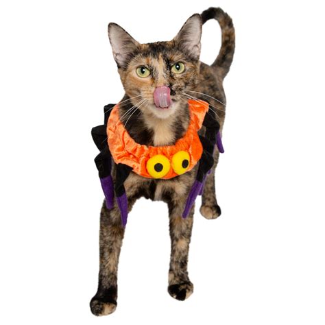 Spider Collar Cat Costume Pet Krewe