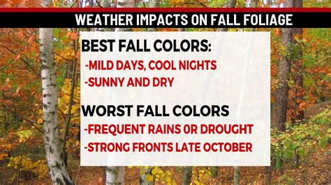 Fall Foliage Forecast Cooler Nights And Rain Just In Time Abc27