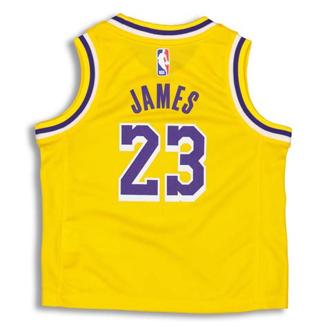 Post your items for free. Nike Toddler Los Angeles Lakers LeBron James #23 Replica ...