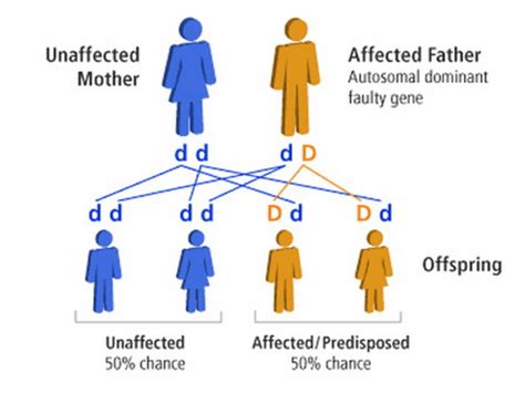 Autosomal Dominant Inheritance Pattern 29 Download Scientific Diagram