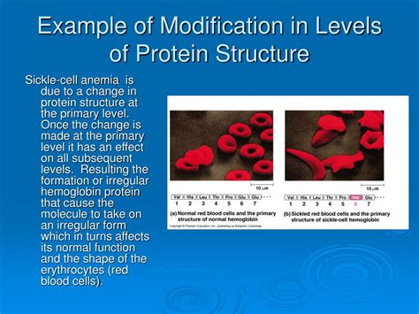 Chemical modification of proteins is a rapidly expanding area in chemical biology. PPT - Macromolecules: Carbohydrates, Lipids, Proteins and ...