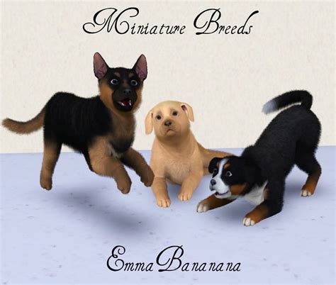 15 Pictures About Sims 3 Dog Breeds Animals And More