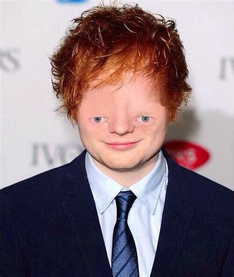 24 Celebrities As Sloths Ed Sheeran Facts Ed Sheeran Ed Sheeran Memes