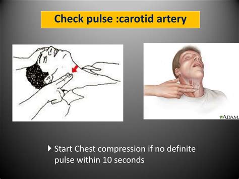 Ppt American Heart Association Guidelines For Cpr 2015 Powerpoint