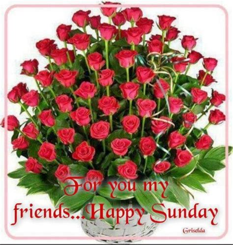 For You My Friends Happy Sunday Pictures Photos And Images For