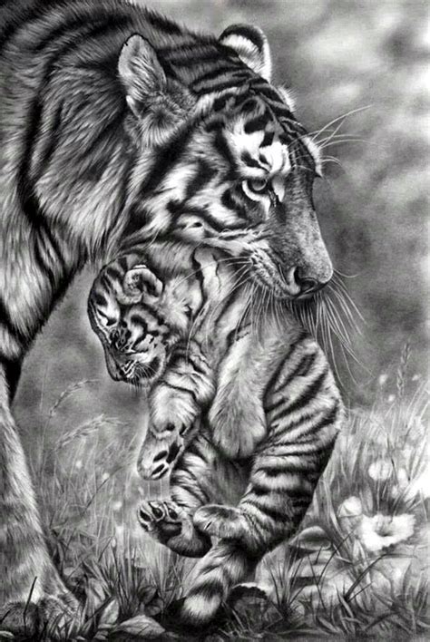 Almost files can be used for commercial. 40 Realistic Animal Pencil Drawings