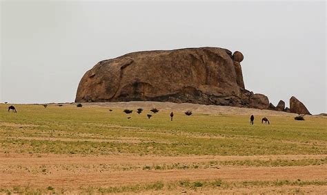 الجميع نزّلوا تطبيق الصور على جوالآتهم! adindanurul: قفا نبك من ذكرى حبيب ومنزل بسقط اللوى بين ...