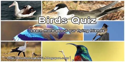 Quiz On Birds 8 Environment And Wildlife Quiz 106