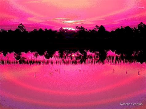 Hot Pink Sunset By Rosalie Scanlon Redbubble