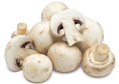 What Are The Best Tips For Cooking With Maitake Mushrooms