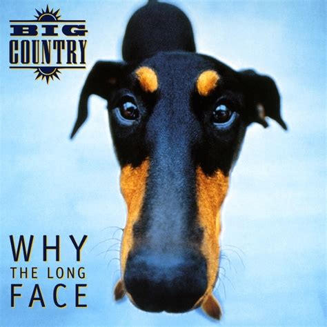 Big Country Why The Long Face Lyrics And Tracklist Genius