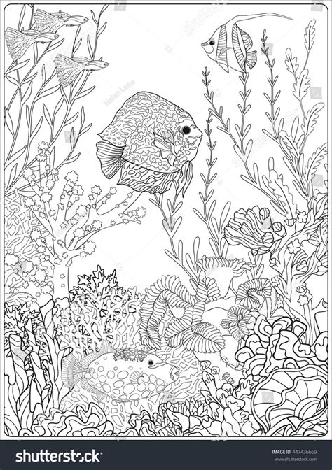 The term coral reef plants has been traditionally used to refer to all photosynthetic life forms (other than bacteria) commonly found within coral reef ecosystems. Adult coloring book. Coloring page with underwater world ...