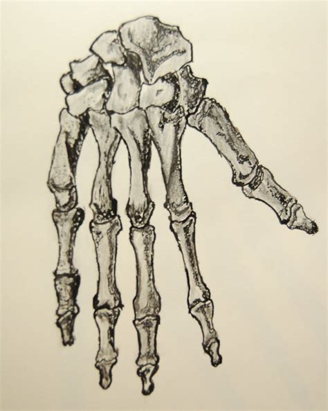 Learn how to draw a skeleton with this easy step by step tutorial. Skeleton Hand Drawing Tumblr at PaintingValley.com ...