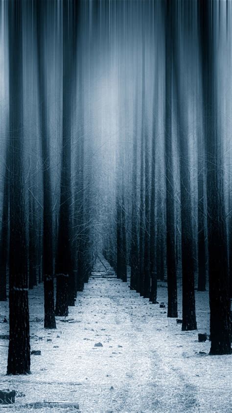 Dark Winter Forest Wallpapers 4k Hd Dark Winter Forest Backgrounds