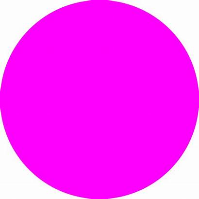 Circle Pink Clipart Clip Transparent Clker Vector