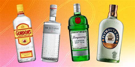 9 Best Gins According To Experts