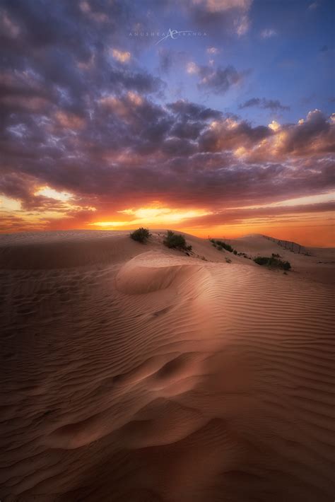 Learn To Master Desert Landscape Photography Sysyphoto