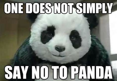 Image Result For Panda Meme Cat Memes Panda Panda Meme