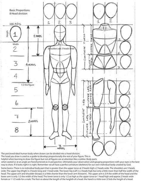 Body Proportion Drawing Human Anatomy Art Human Figure Drawing