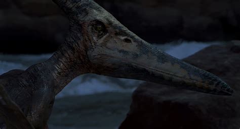 Pteranodon The Lost World Jurassic Park 3 Jurassic World