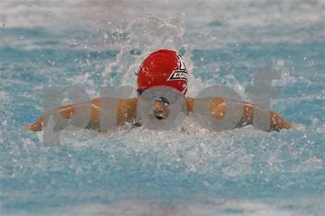 Girls Swimming And Diving 10 22 19 Holland Public Schools Picture Gallery