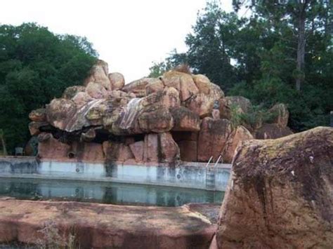 Disneys Abandoned Water Park In Florida Barnorama