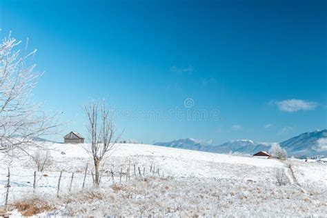 Winter Scene At A Rural Landscape Surrounded By Mountains Under A Blue