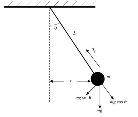 Free Body Diagram Of Pendulum Diagram Resource Gallery