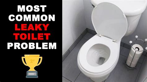 Most Common Leaking Toilet Problem And How To Fix It Youtube