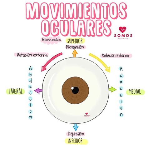 Movimientos Oculares Anatomia Ocular Medicina De Urgencias Estudiante De Medicina