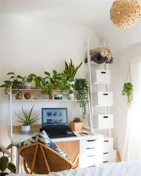 1001 + idées inspirantes pour choisir une plante de bureau  Plantes