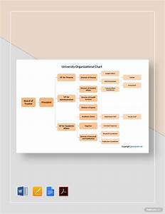 Education Organizational Chart Template In Word Free Download