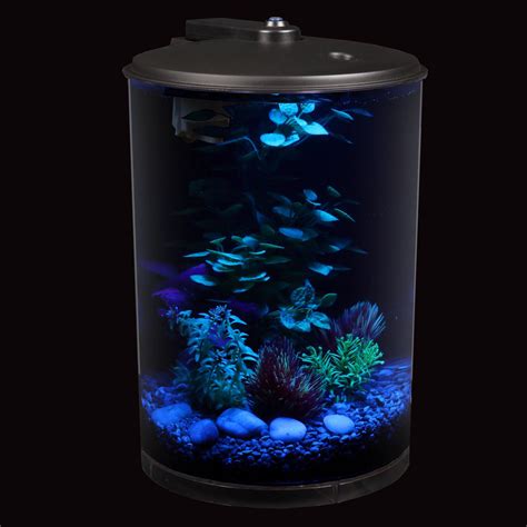 Aqua Culture 3 Gallon 360 View Aquarium Kit With Led Lighting And Power