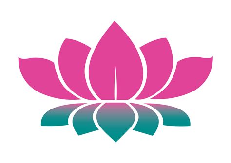 Lotus Flower Png Transparent Image Download Size 3508x2480px