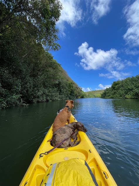 Kayak Kauai