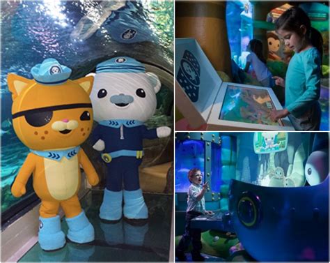 Fun Ocean Learning And Octonauts Activities Mom Endeavors