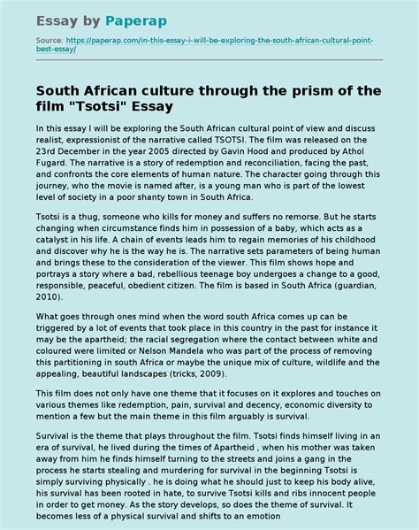south african culture through the prism of the film tsotsi free essay example
