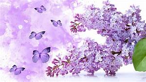 Purple, Butterflies, Wallpaper, 58, Images